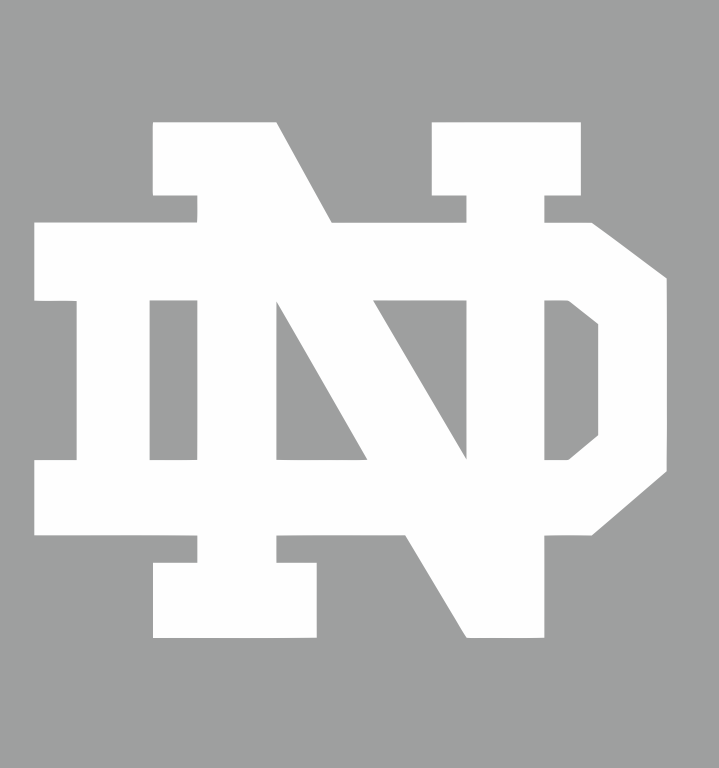 Notre Dame Fighting Irish 1994-Pres Alternate Logo v9 iron on transfers for fabric